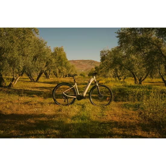 ROCKRIDER - Bici elettrica da trekking E-ACTV 500 con motore centrale e telaio basso