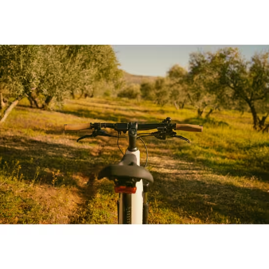 ROCKRIDER - Bici elettrica da trekking E-ACTV 500 con motore centrale e telaio basso